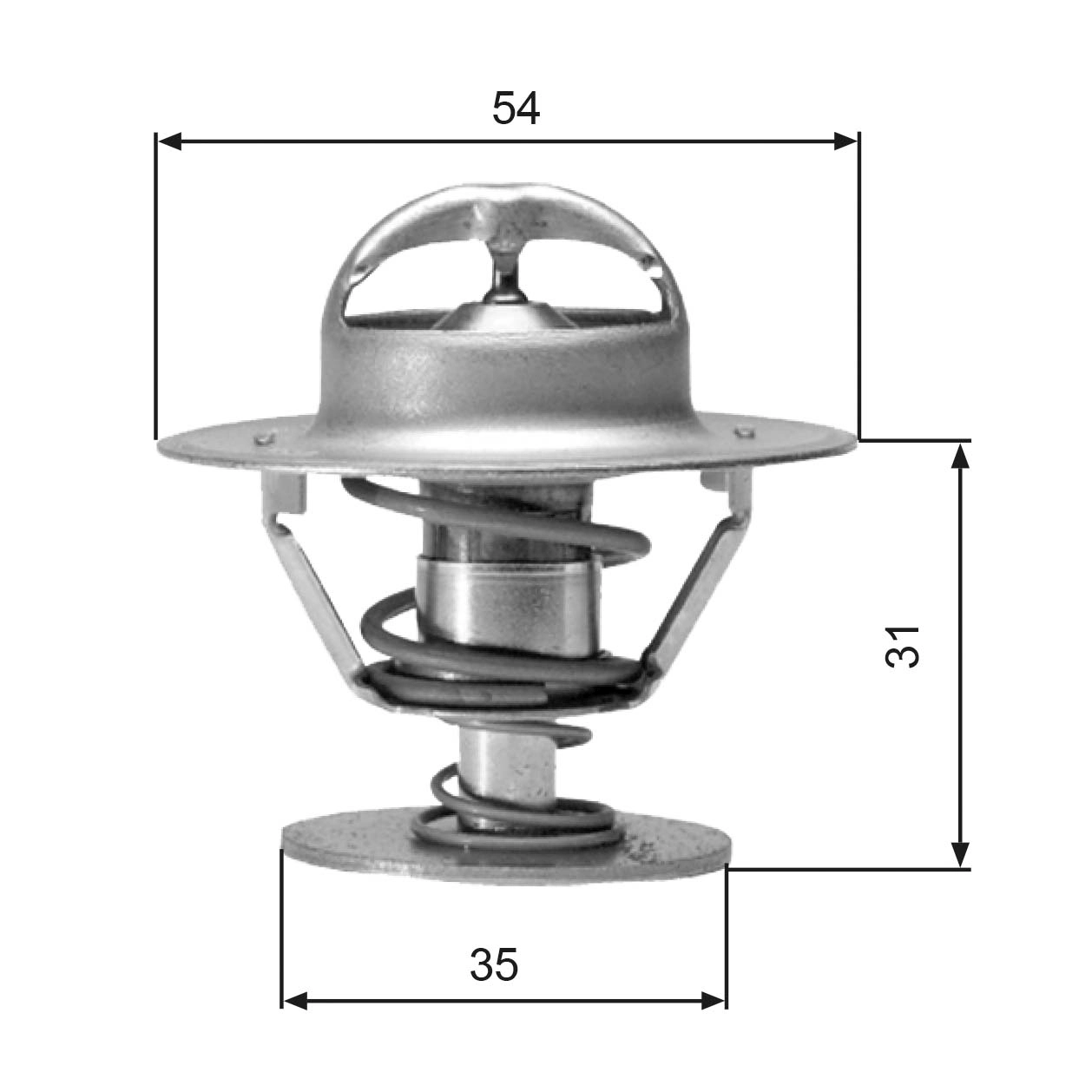 Thermostat, coolant