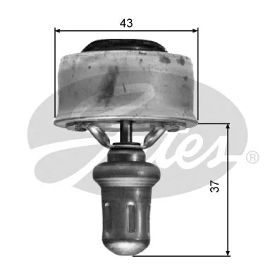 Thermostat, coolant