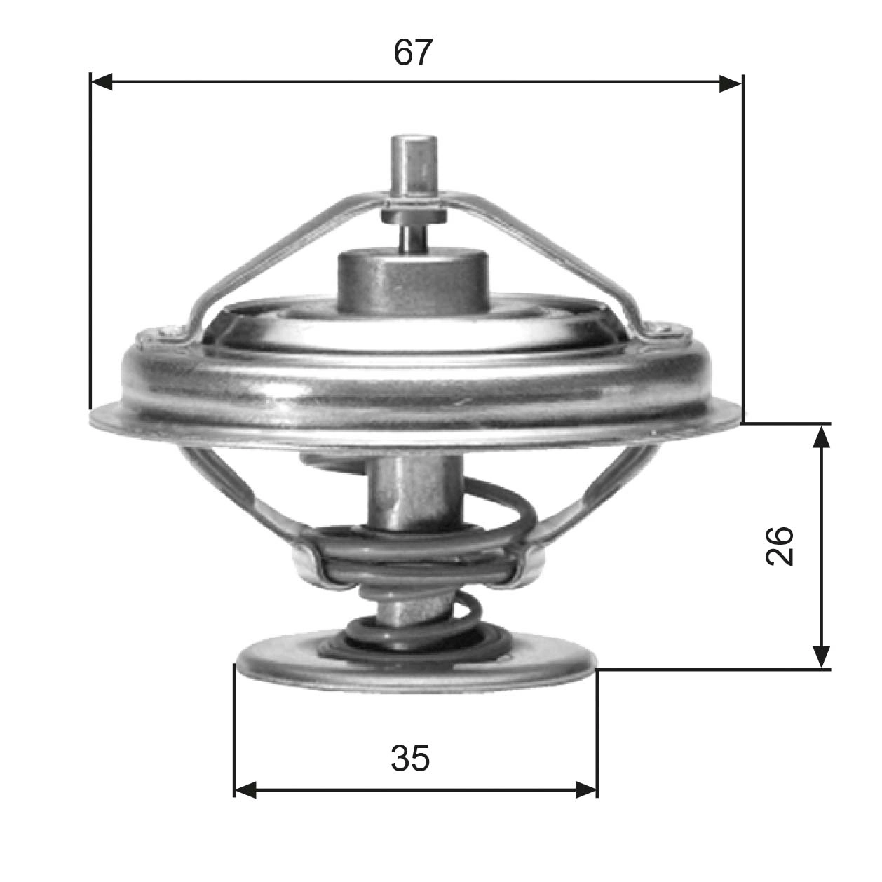 Thermostat, coolant