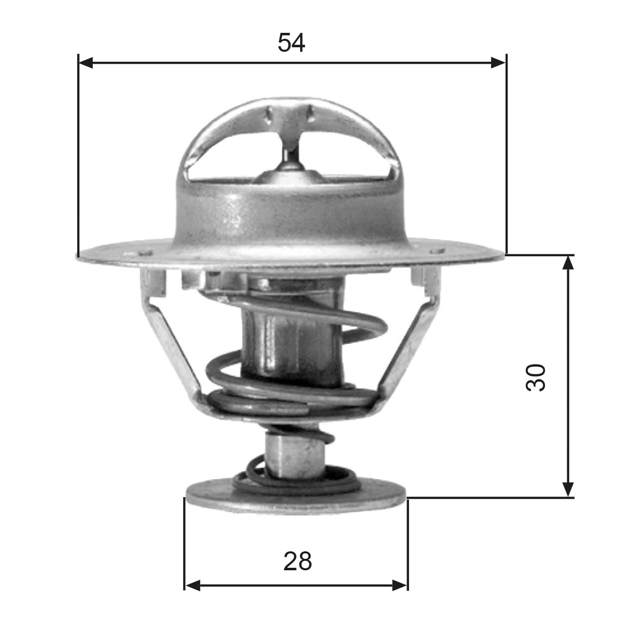 Thermostat, coolant