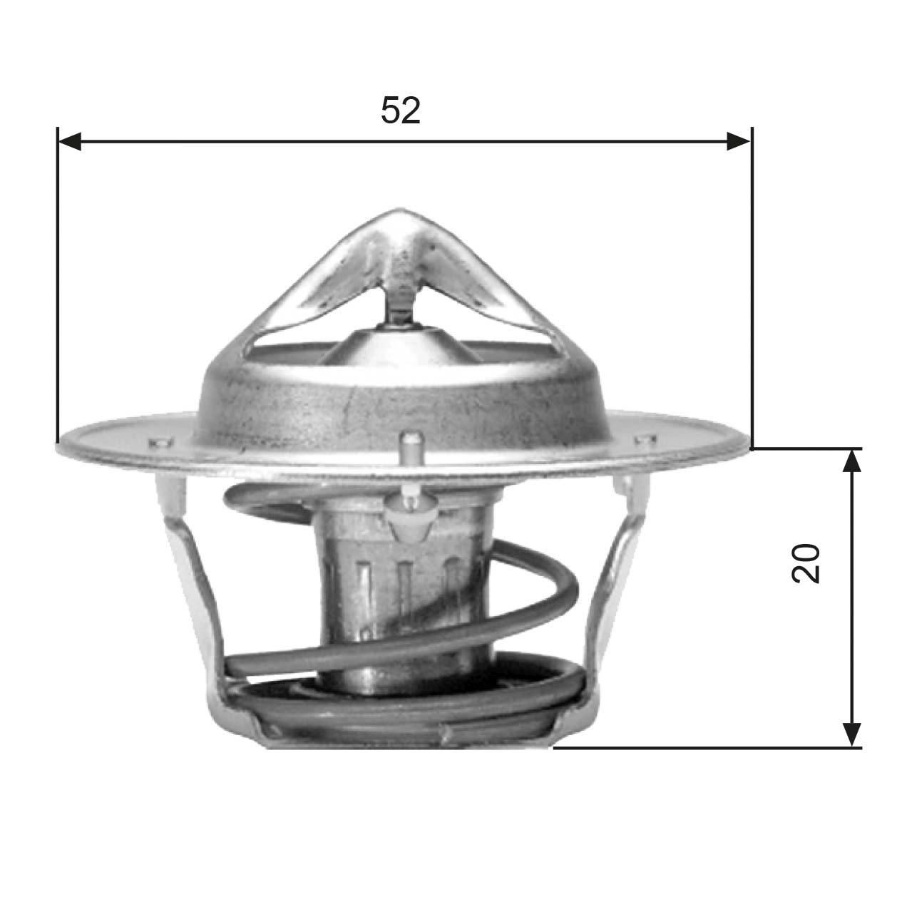 Thermostat, coolant