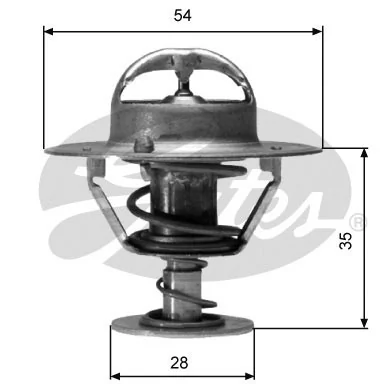 Thermostat, coolant