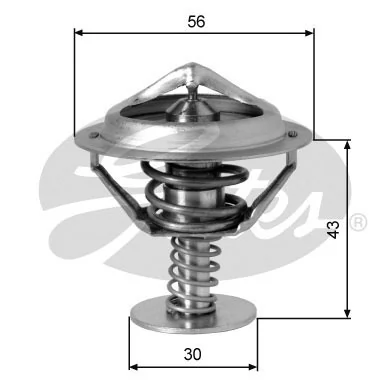 Thermostat, coolant