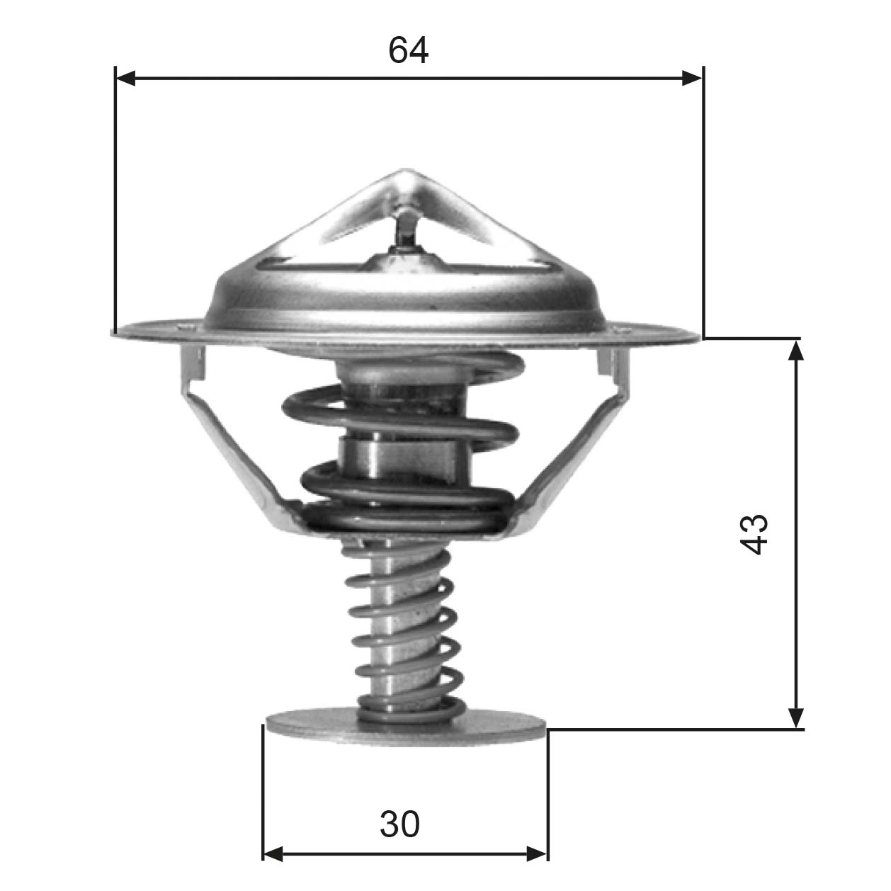 Thermostat, coolant