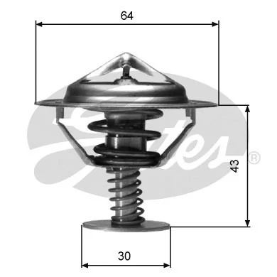 Thermostat, coolant