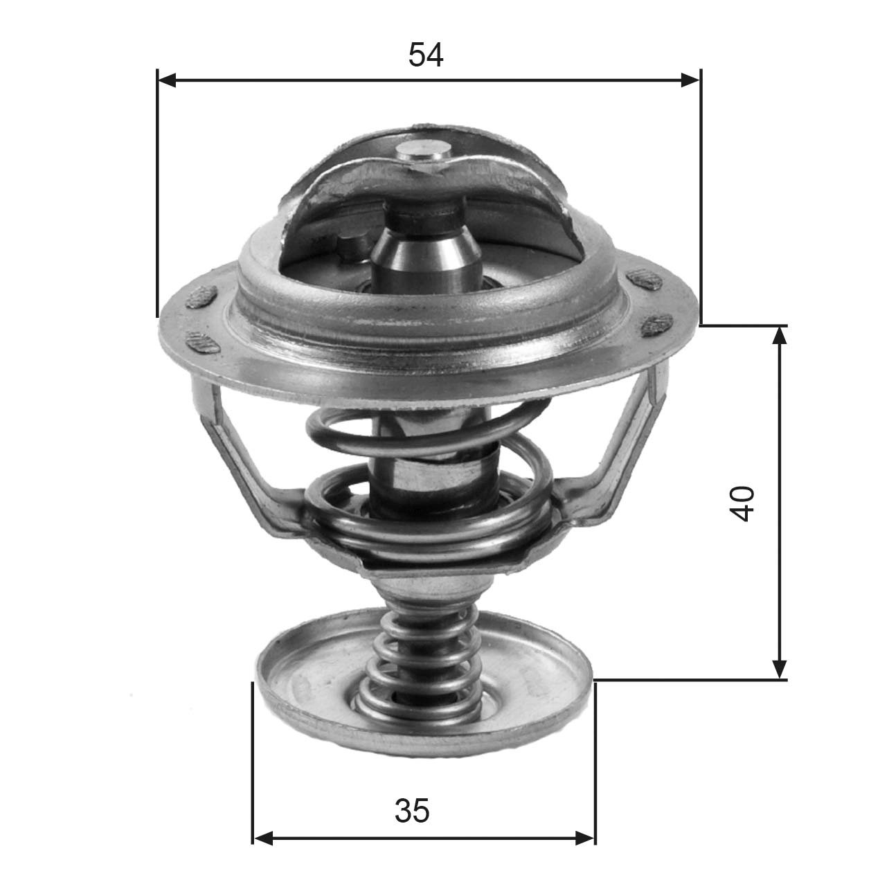 Thermostat, coolant