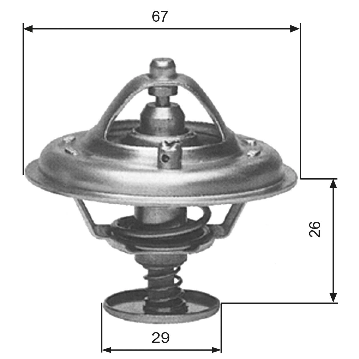 Thermostat, coolant