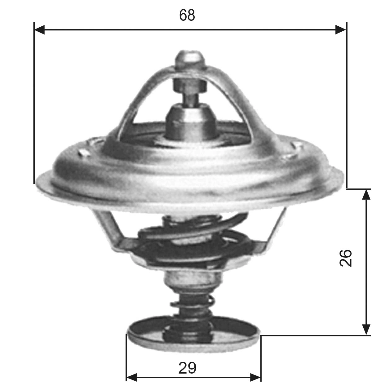Thermostat, coolant