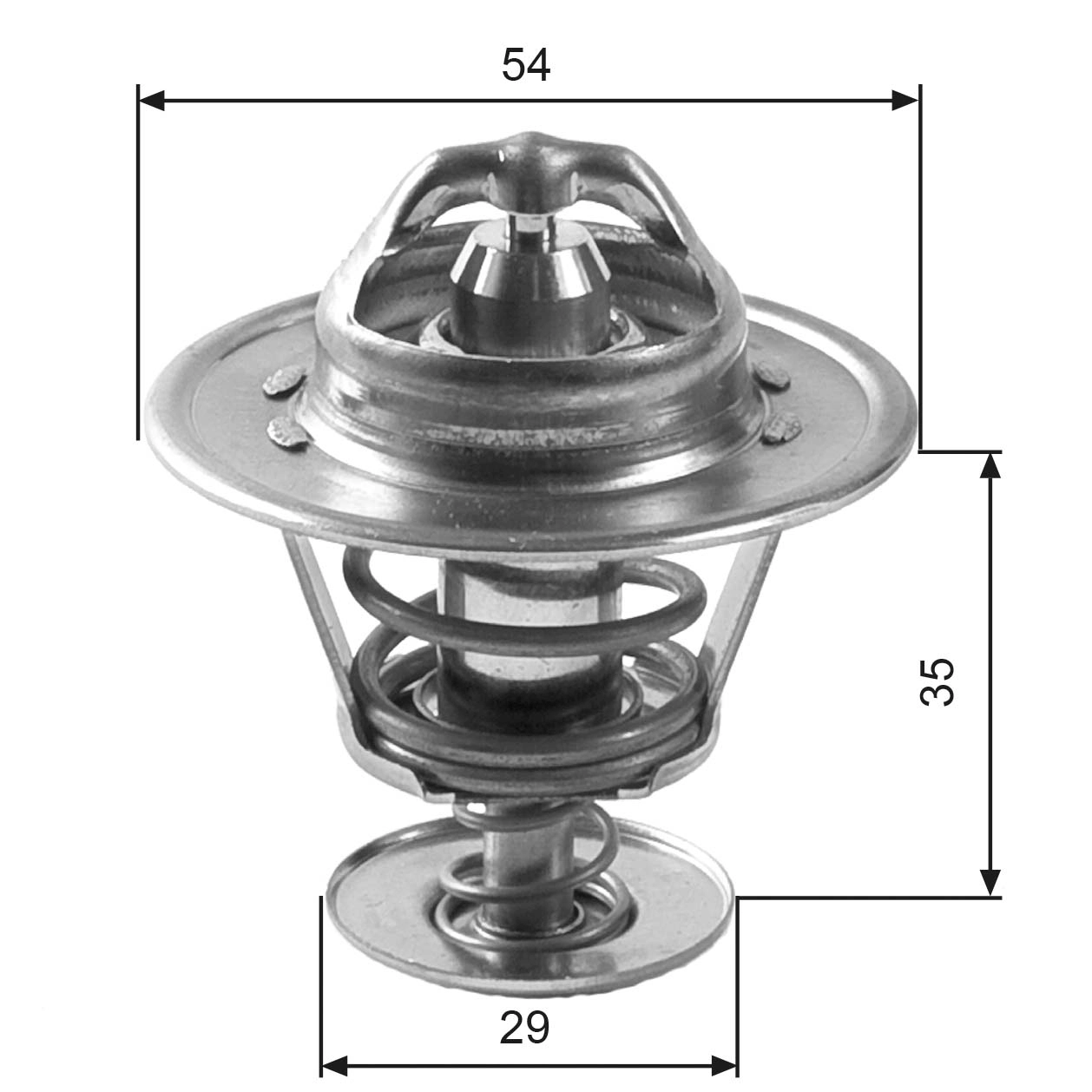 Thermostat, coolant