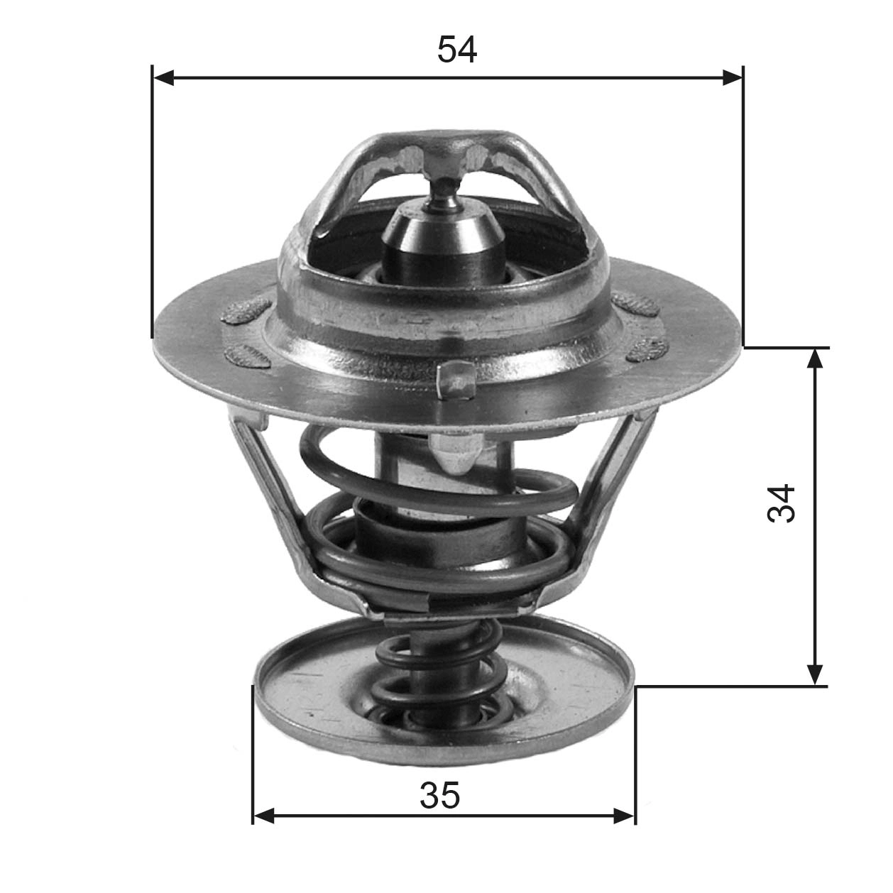 Thermostat, coolant