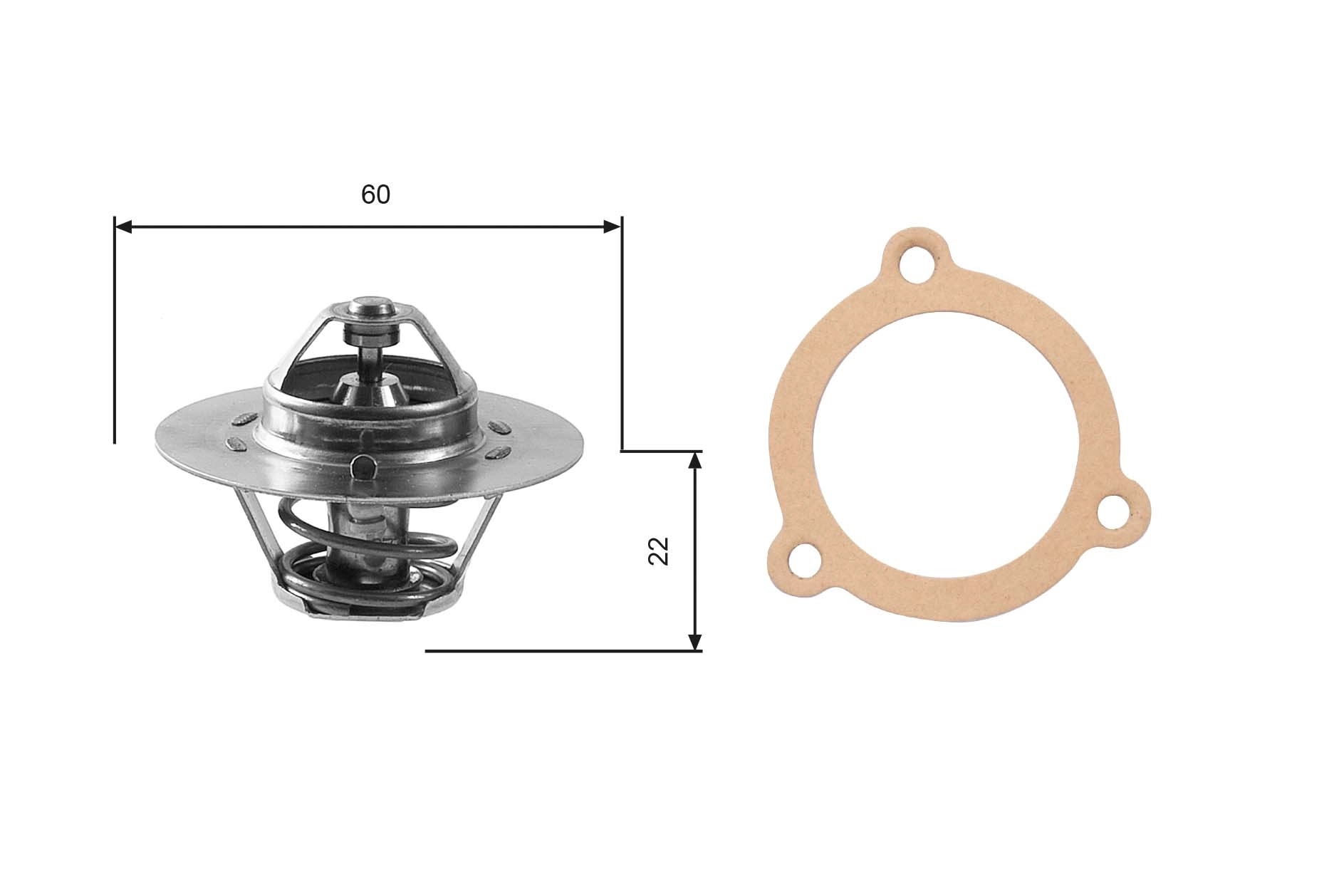 Thermostat, coolant