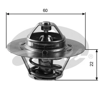 Thermostat, coolant