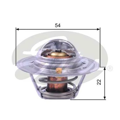 Thermostat, coolant