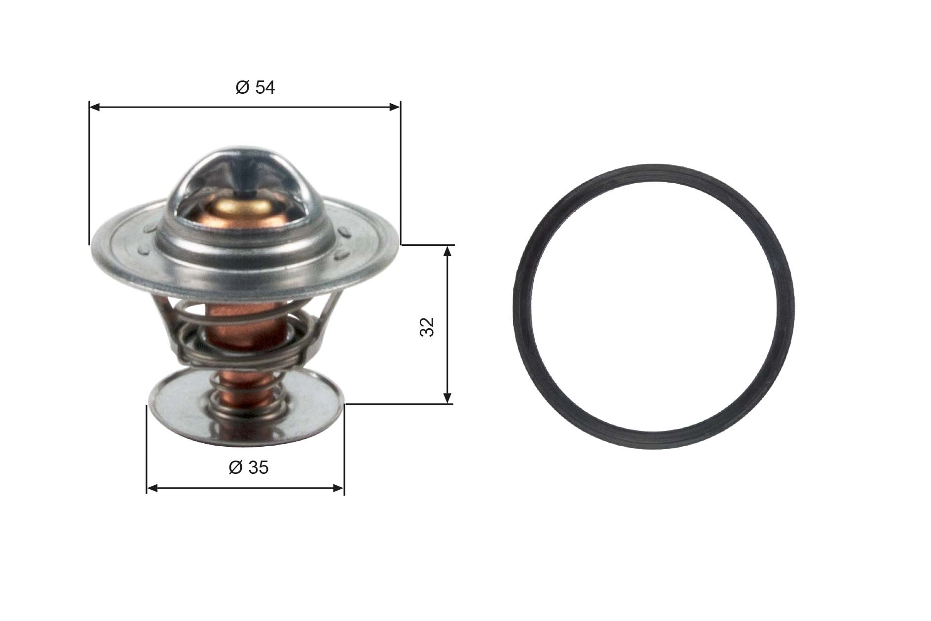 Thermostat, coolant