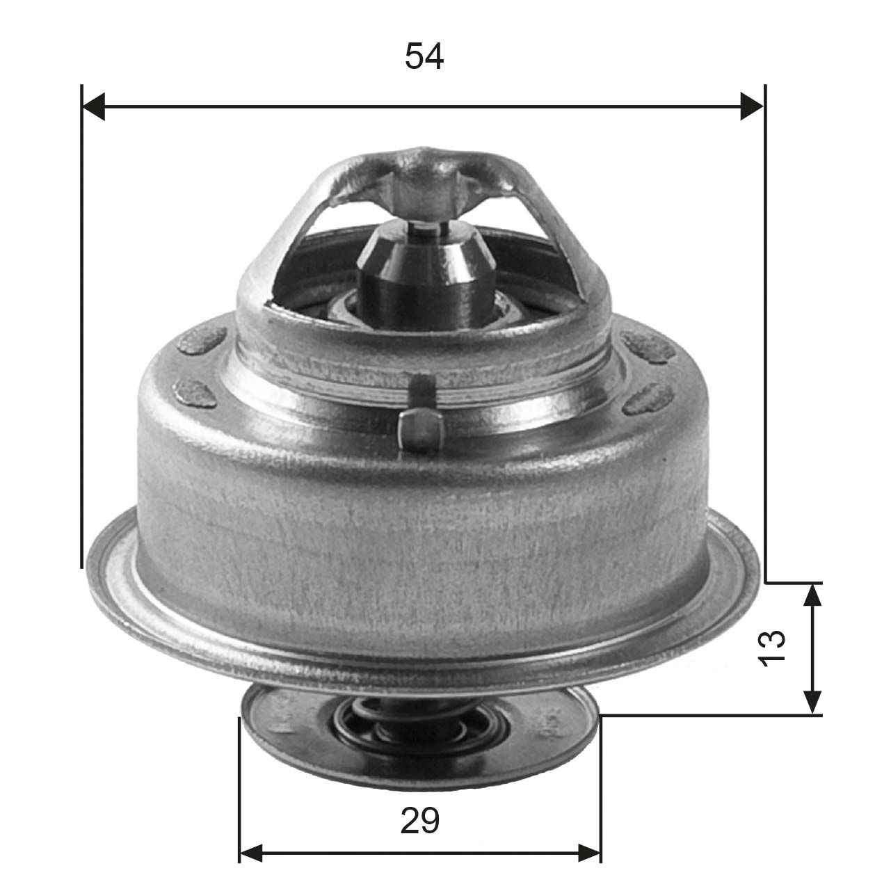 Thermostat, coolant