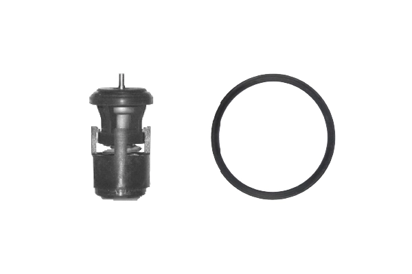 Thermostat, coolant