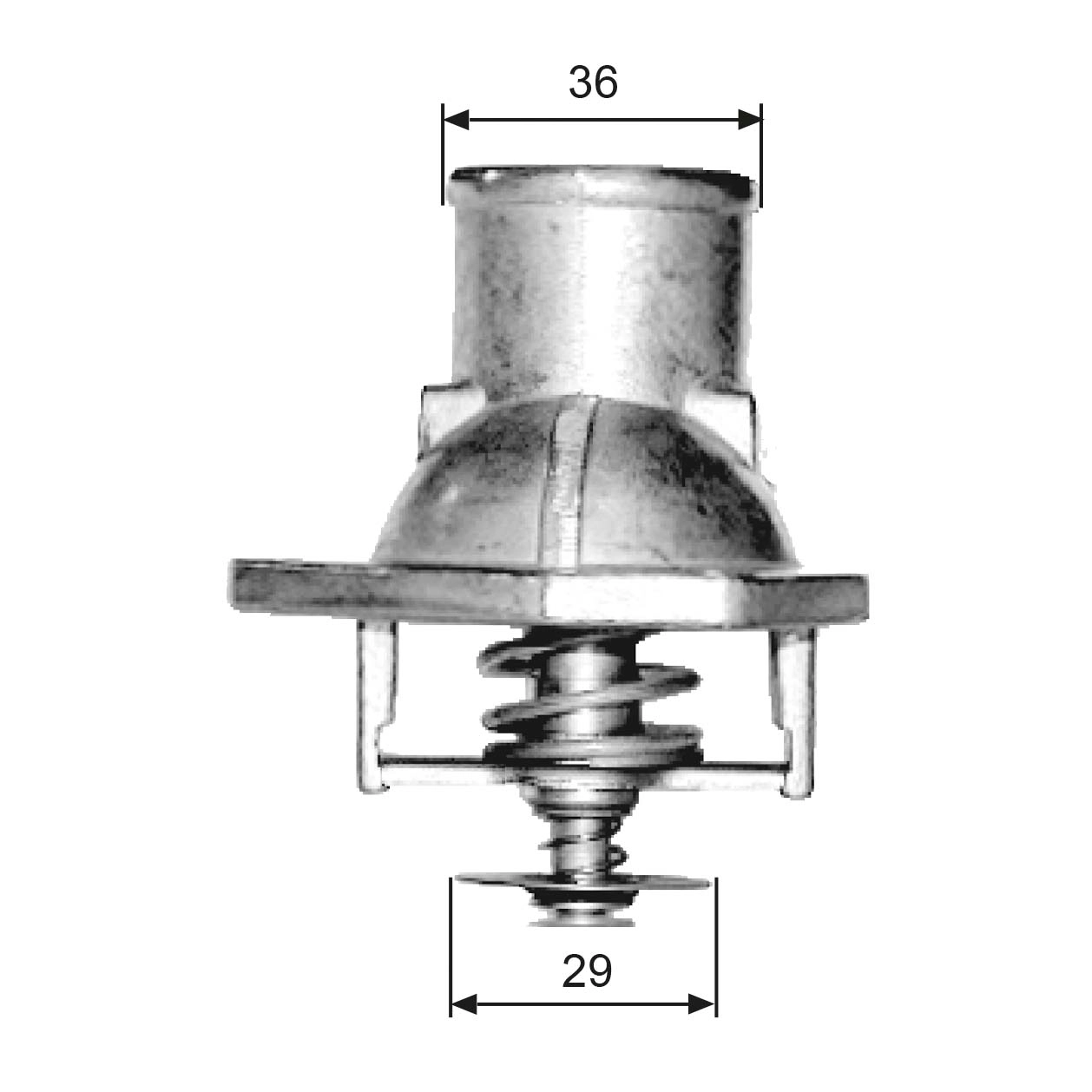 Thermostat, coolant