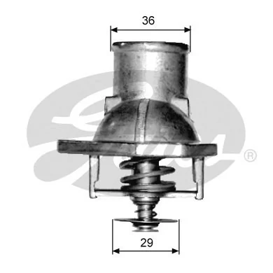 Thermostat, coolant