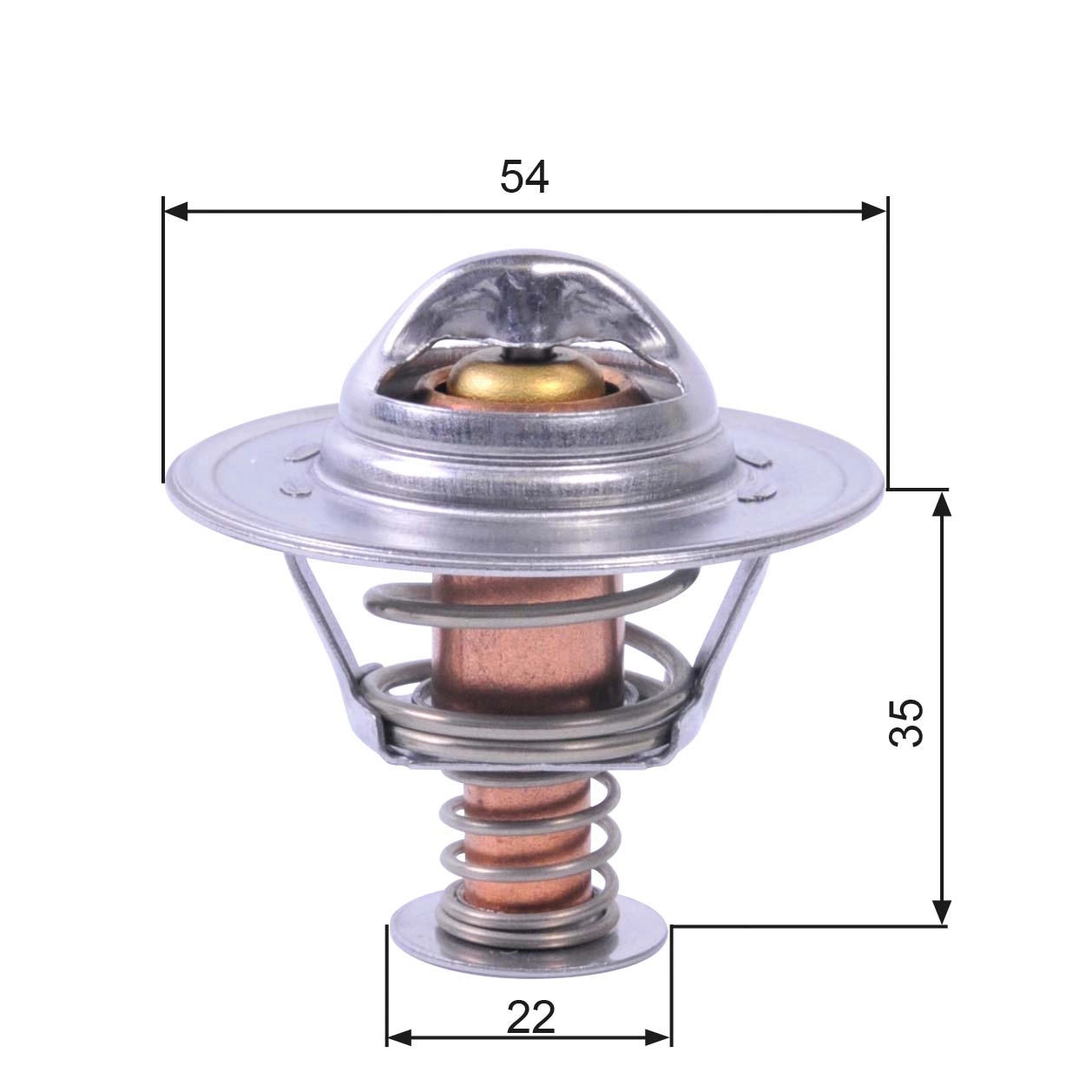 Thermostat, coolant