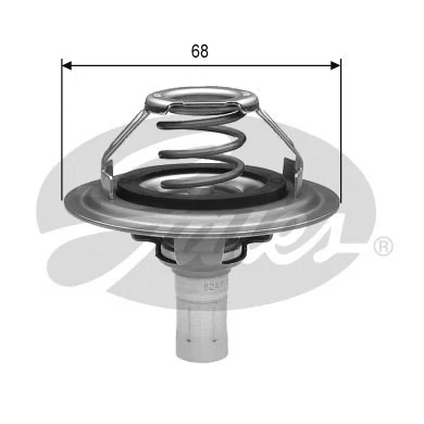 Thermostat, coolant
