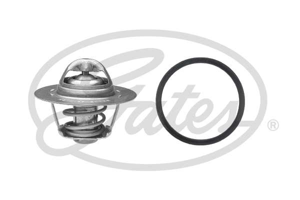 Thermostat, coolant