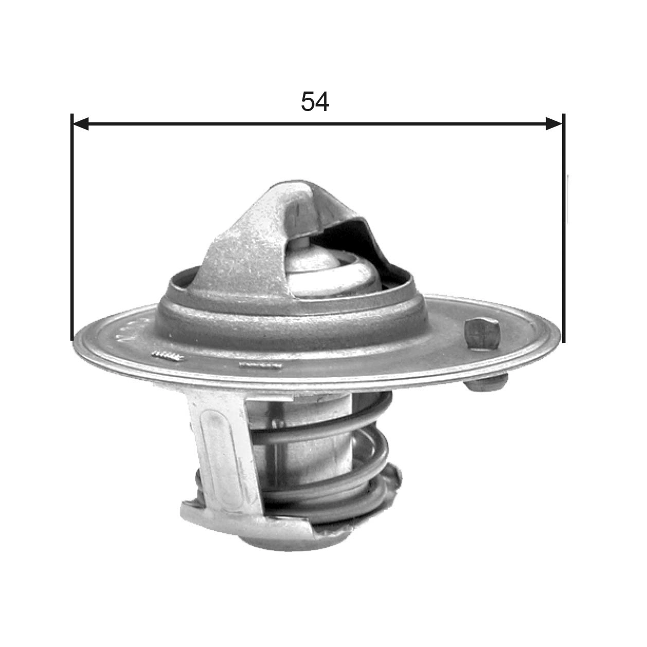 Thermostat, coolant