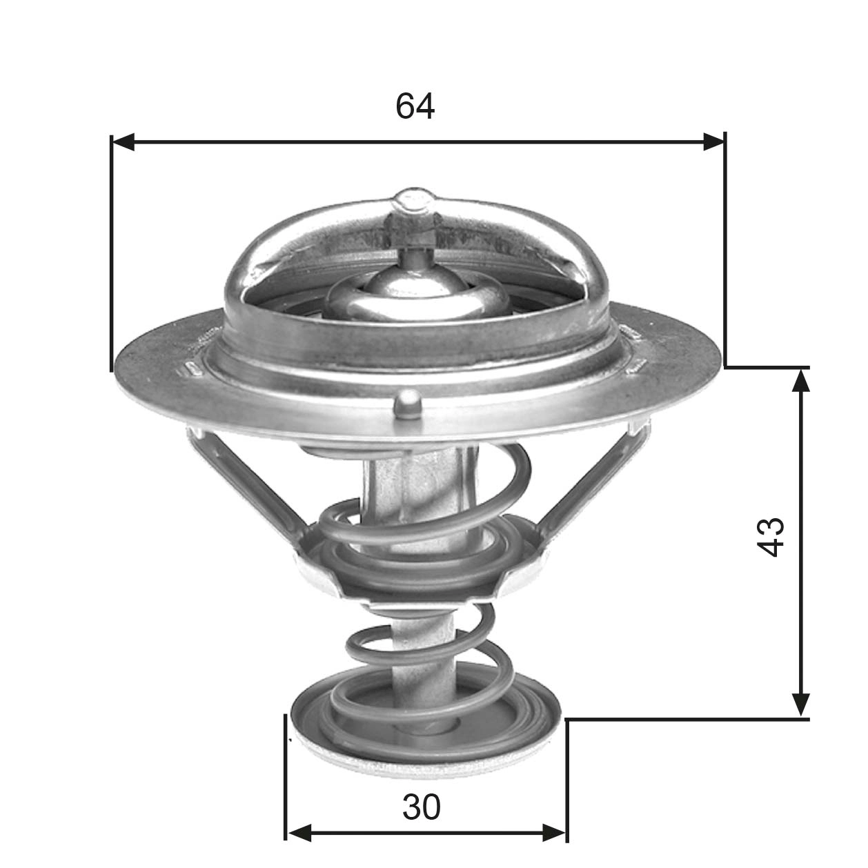Thermostat, coolant