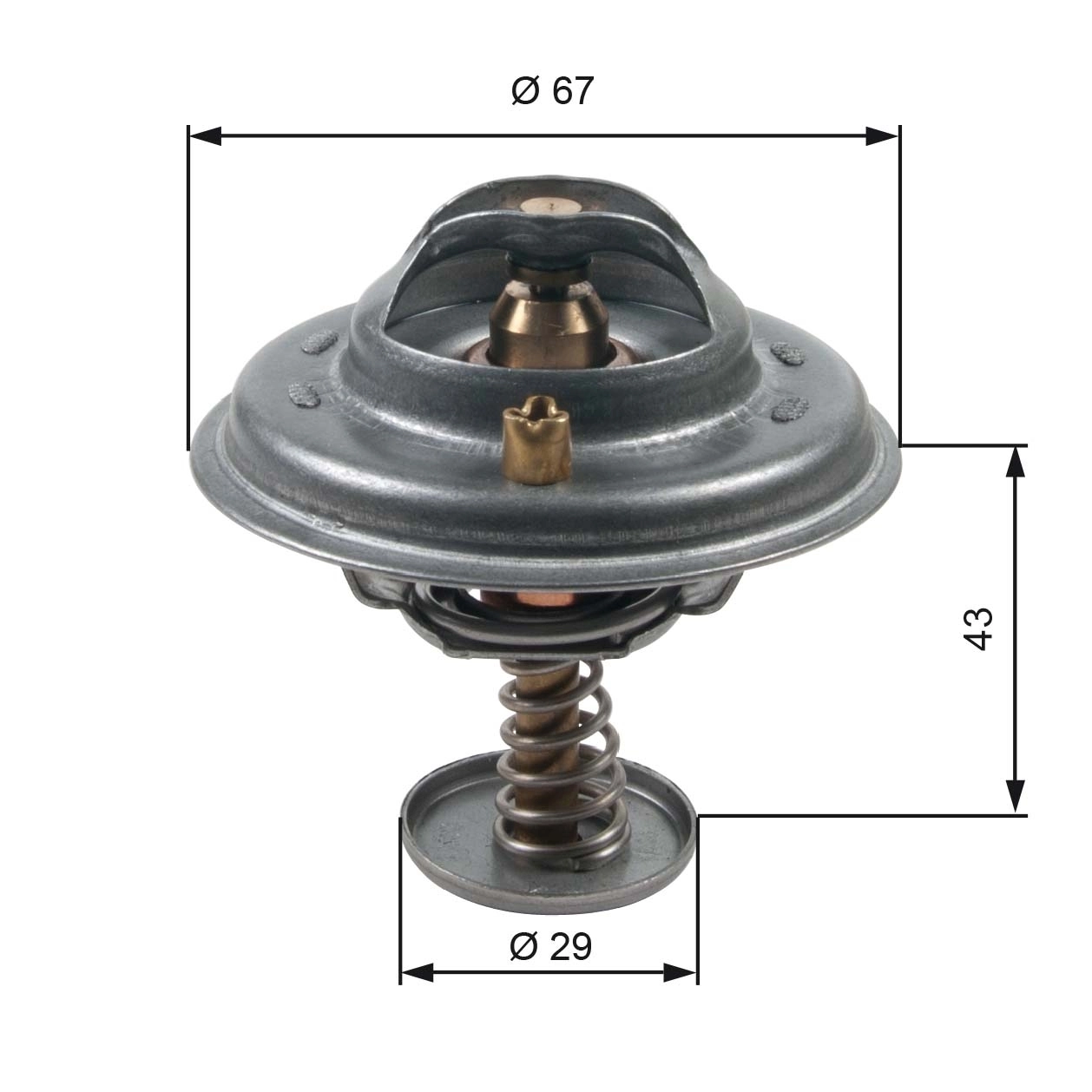 Thermostat, coolant