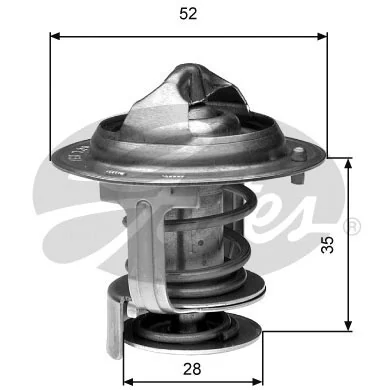 Thermostat, coolant
