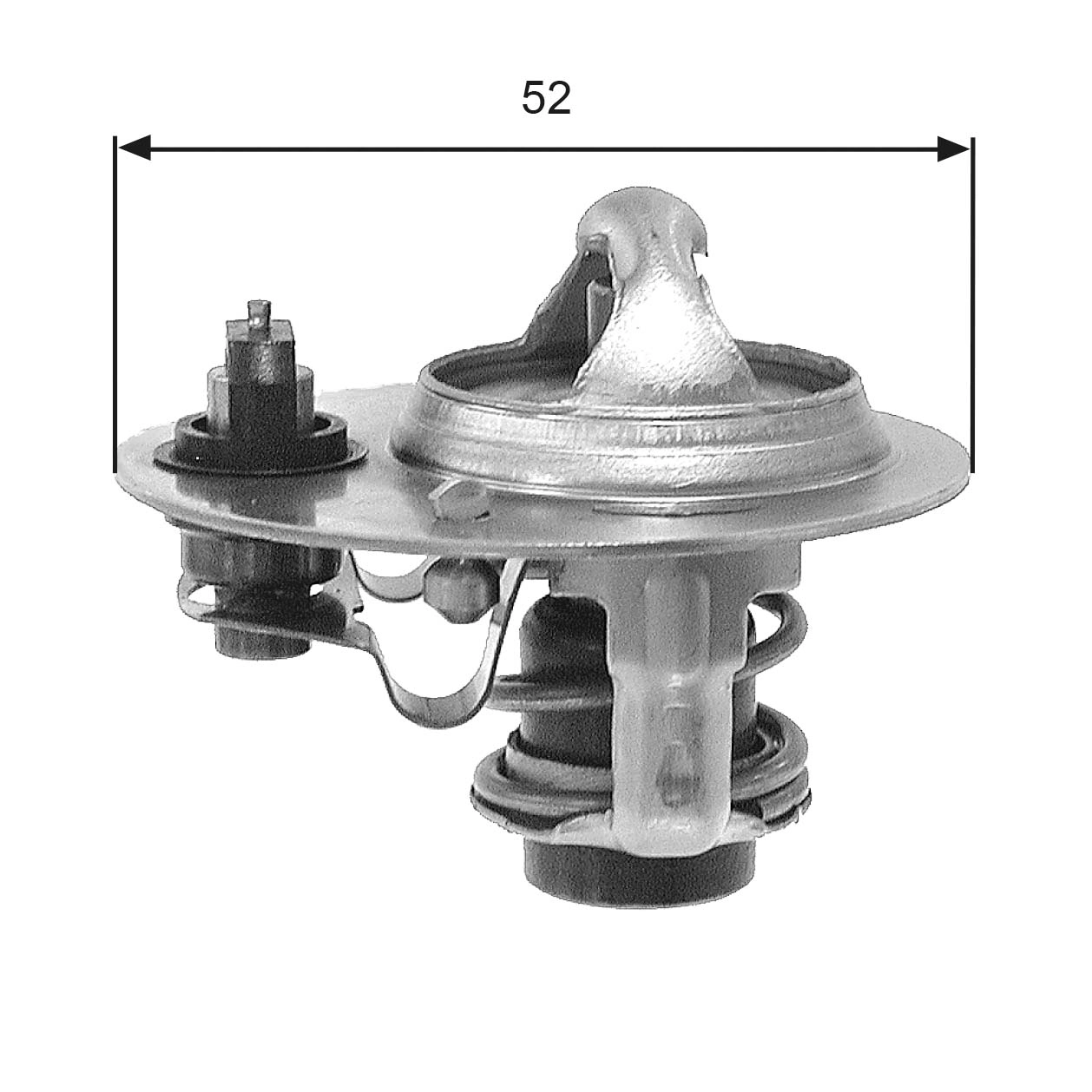 Thermostat, coolant