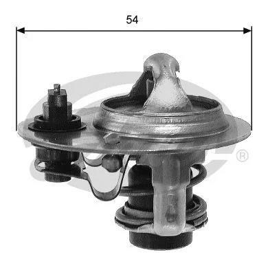 Thermostat, coolant