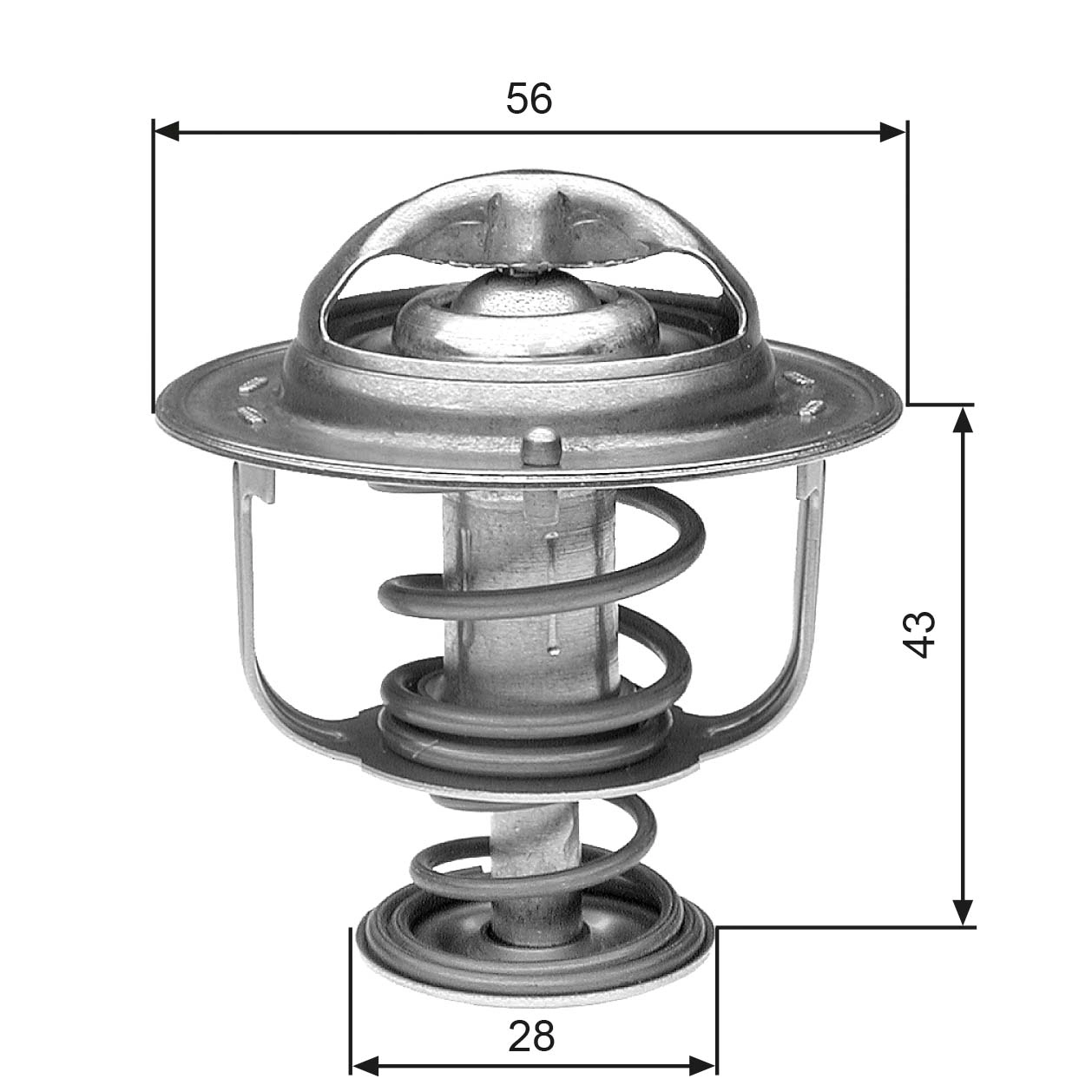 Thermostat, coolant