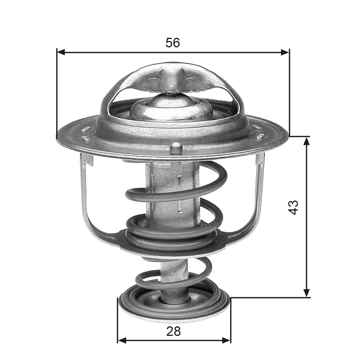Thermostat, coolant