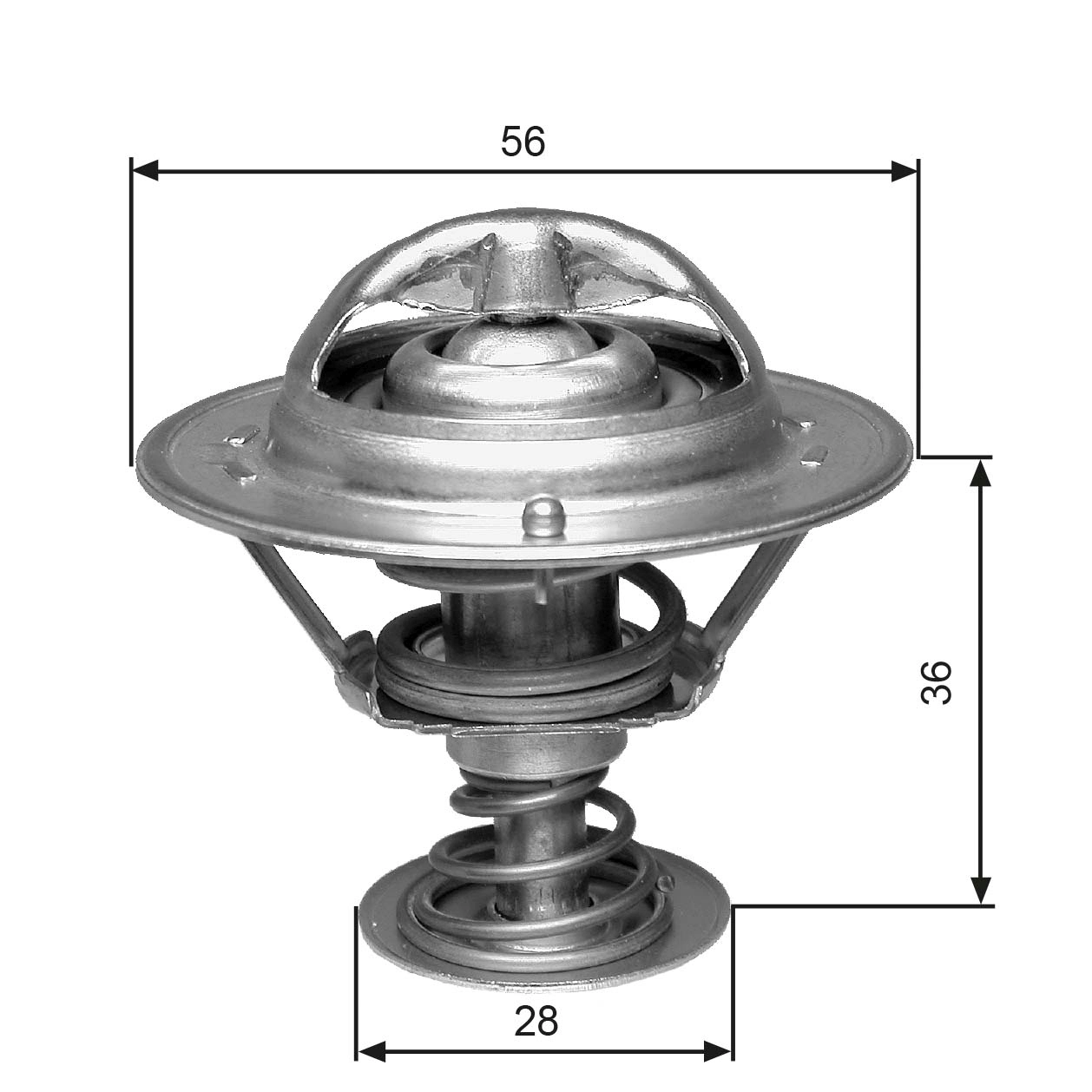 Thermostat, coolant