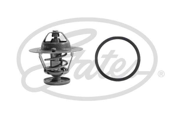 Thermostat, coolant