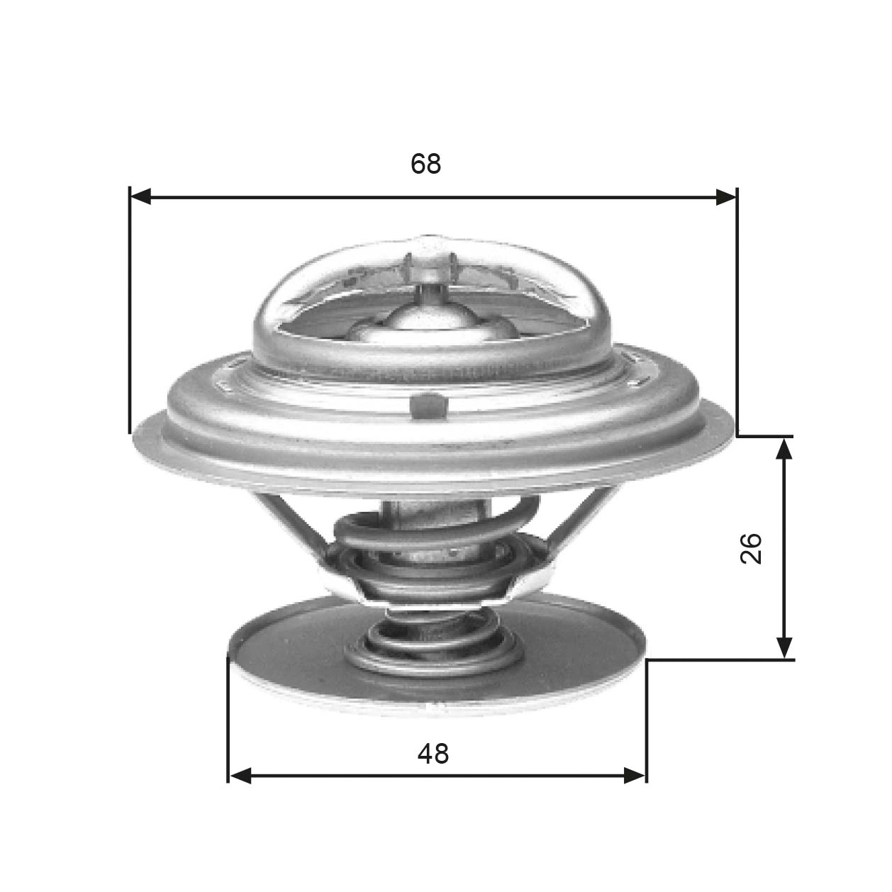 Thermostat, coolant