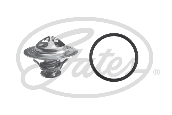 Thermostat, coolant