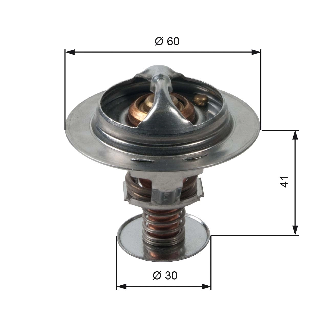 Thermostat, coolant