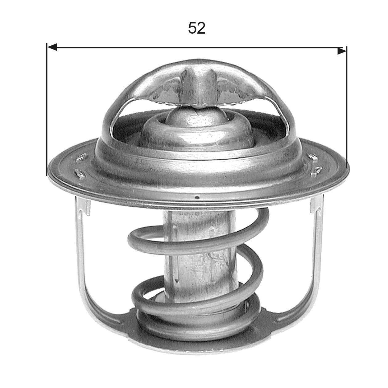 Thermostat, coolant