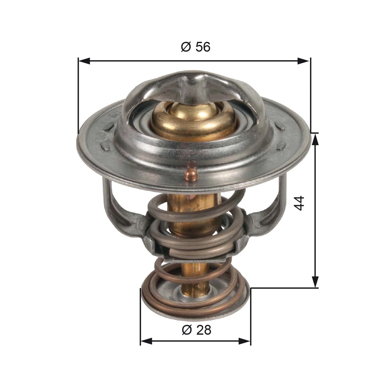 Thermostat, coolant