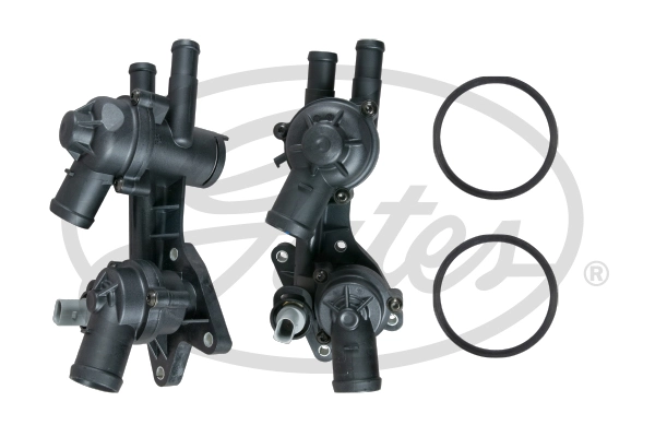 Thermostat, coolant