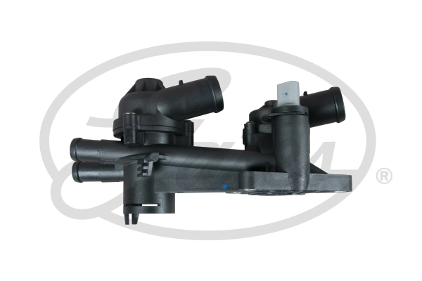 Thermostat, coolant