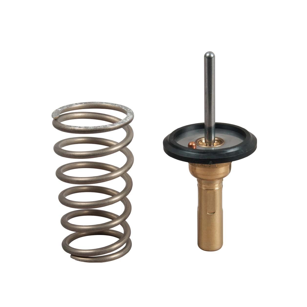 Thermostat, coolant