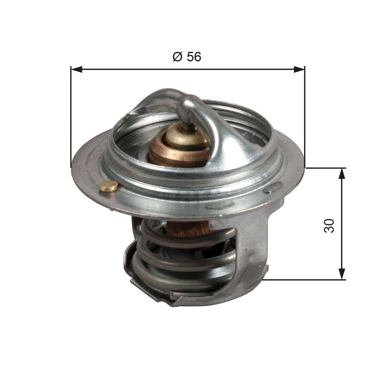 Thermostat, coolant