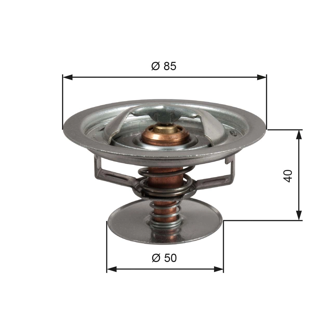 Thermostat, coolant