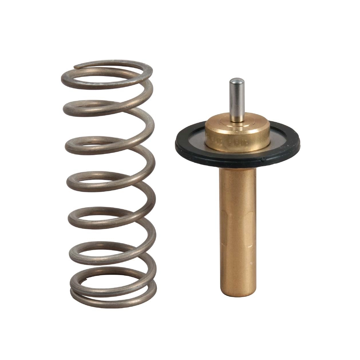 Thermostat, coolant