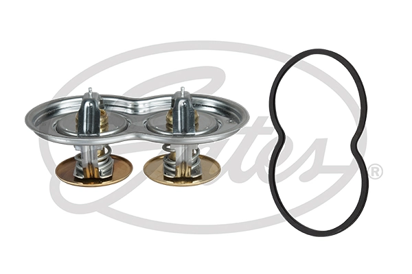 Thermostat, coolant