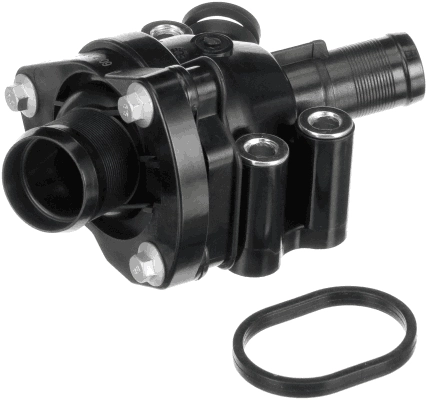 Thermostat, coolant