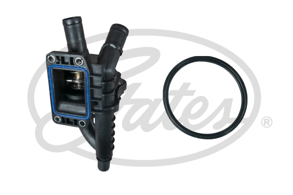 Thermostat, coolant