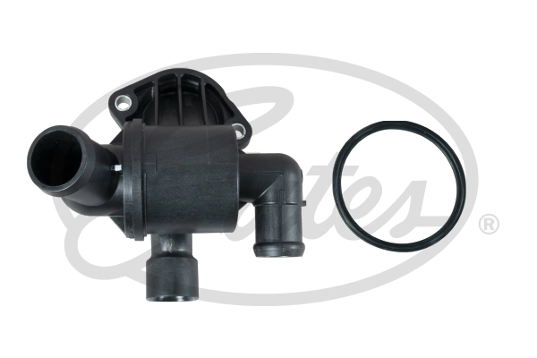 Thermostat, coolant